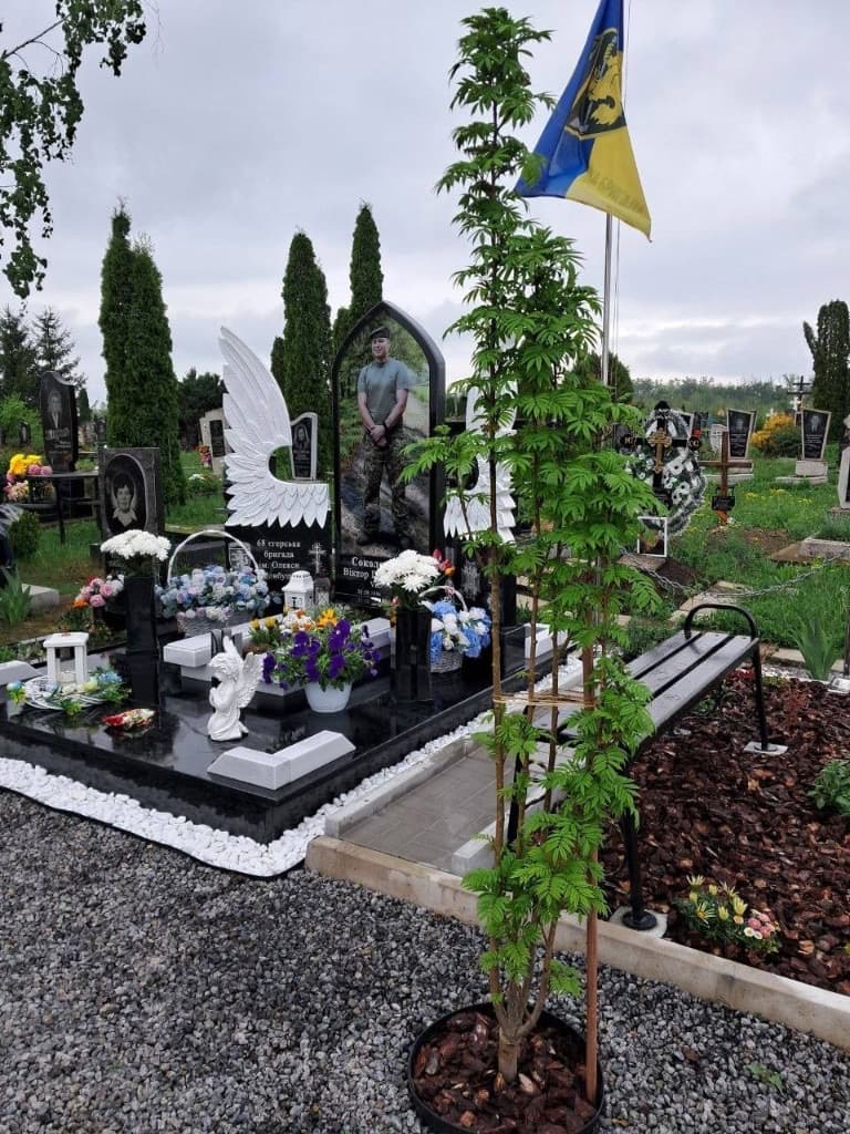 Дерево, яке Вітя наказав посадити. Горобина — Соколовський Віктор Геннадійович